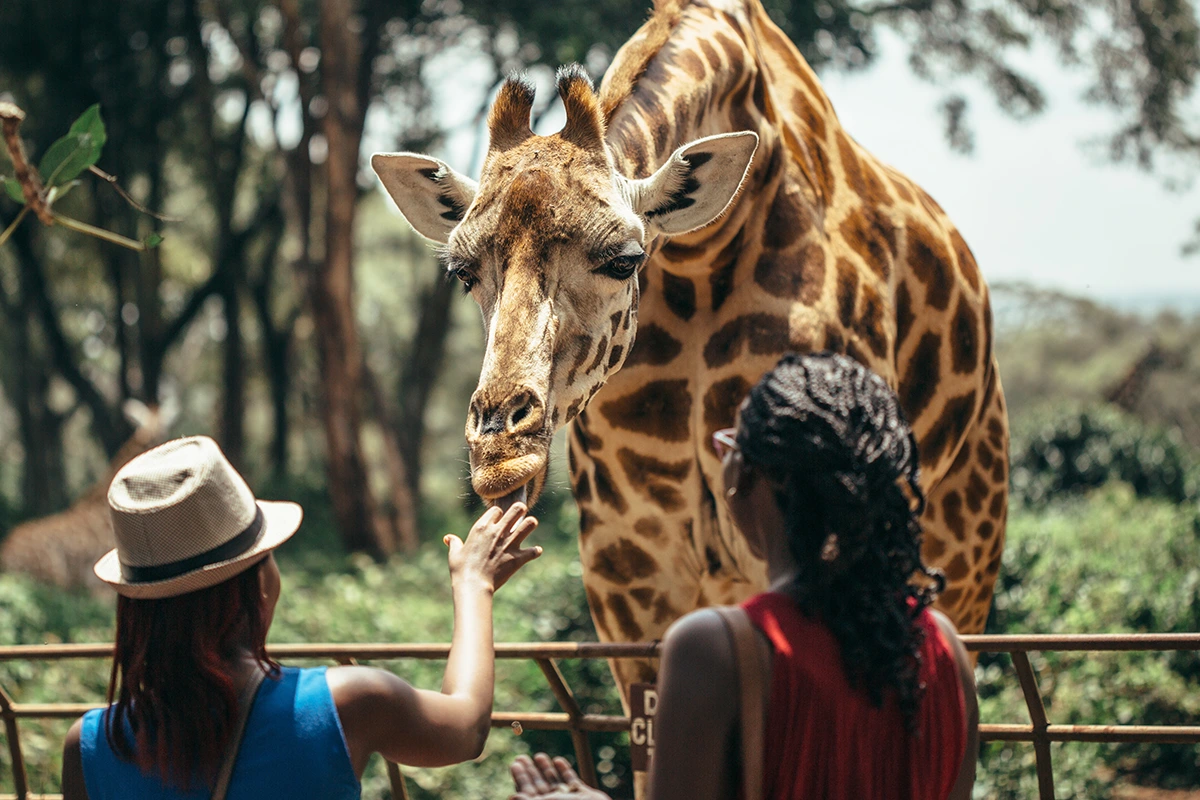 nairobi safari