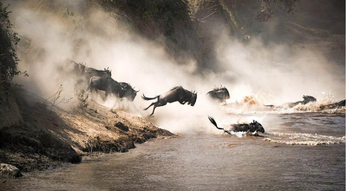 The Great Migration