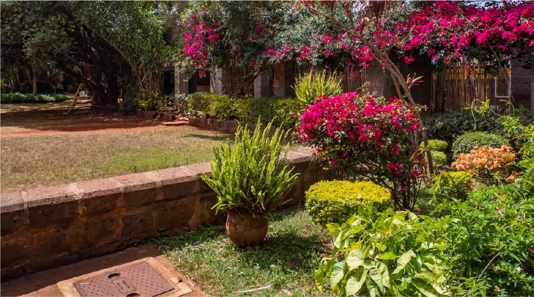 Colorful flower garden at the Karen Blixen Museum in Nairobi, Kenya, surrounded by lush greenery.