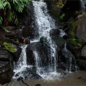 Oloolua Nature Trail