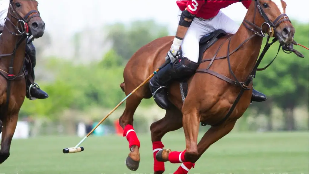 polo player and horse in Argentine countryside
